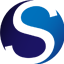 Skyway Holdings Logo
